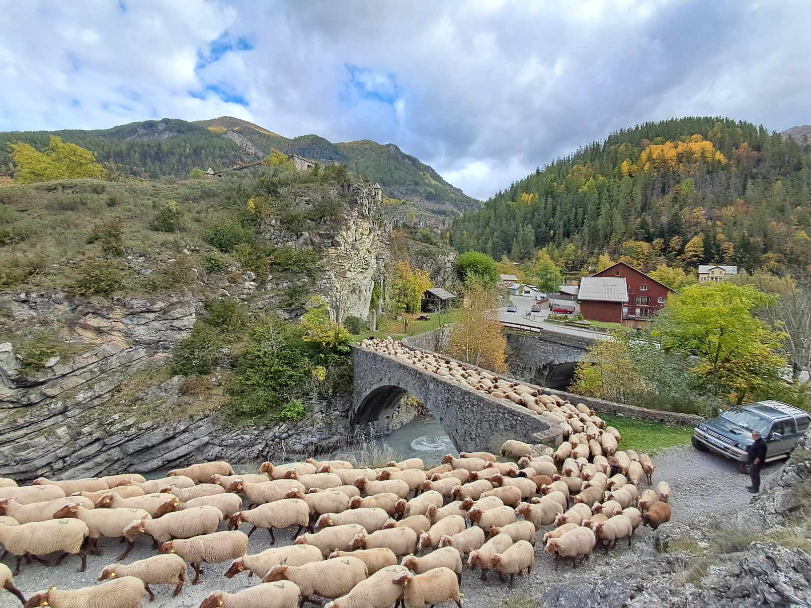 transhumance