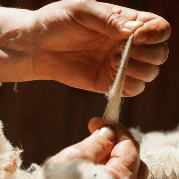 Valoriser un savoir-faire local
